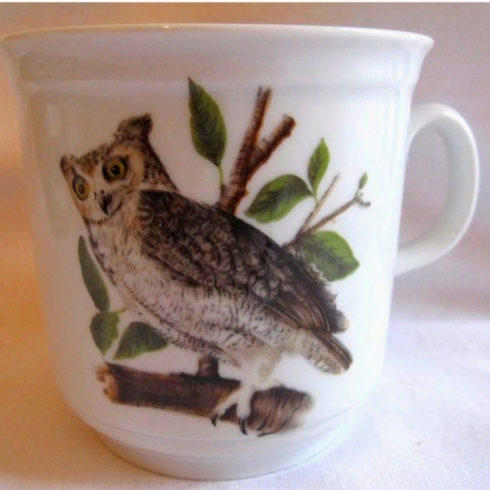 Vintage House of Goebel Bavaria W. Germany coffee mug 🦉